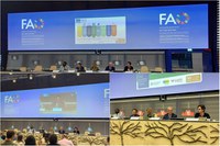 Em Roma, governo brasileiro apresenta conjunto de medidas para promover sistemas alimentares mais resilientes às mudanças climáticas