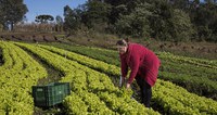 Em seis meses, PAA Compra Institucional já disponibilizou mais de R$ 165 milhões para a agricultura familiar