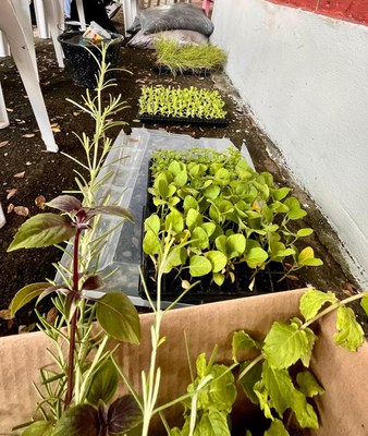 WhatsApp Image 2025-01-31 at 20.15.21 (2).jpeg