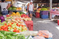 Estratégia Alimenta Cidades chega a Caruaru (PE)