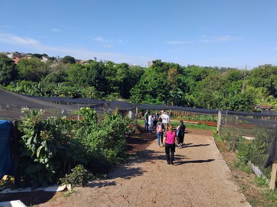 Em Maringá (PR), a oficina presencial da Estratégia Alimenta Cidades reuniu um público expressivo em 20/02 e 21/02