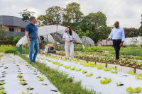 Estratégia Alimenta Cidades percorre o país para definir ações de fortalecimento da agenda alimentar urbana e soberania alimentar