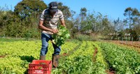 Exército do Rio de Janeiro vai investir R$ 10,7 milhões na agricultura familiar