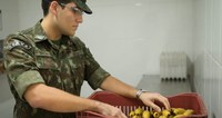 Exército na Região Norte vai adquirir R$ 883 mil em alimentos da agricultura familiar