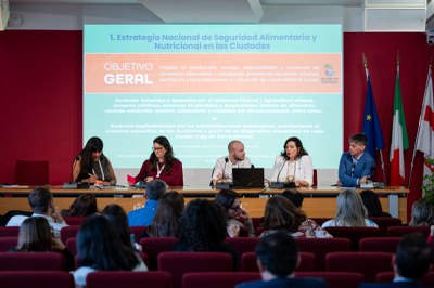 Fotos: MDS / Divulgação 