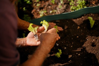 Foto: Lyon Santos/ MDS