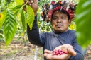 Foto: Divulgação Funai / MPI