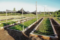 Fomento Rural inicia pagamento de junho a mais de 4,2 mil famílias, em um investimento que ultrapassa R$ 9,7 milhões