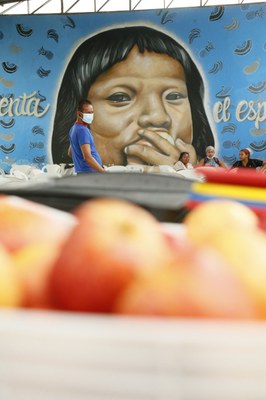 Forca_tarefa_RR_Fotos_Andre_Oliveira_MDS (5).jpeg