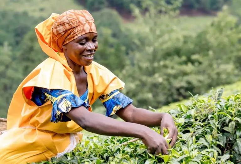 Foto: FAO / Jean Baptiste Nkurunziza