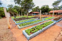 Goiás se une ao Plano Brasil Sem Fome para erradicar a fome e a pobreza no país