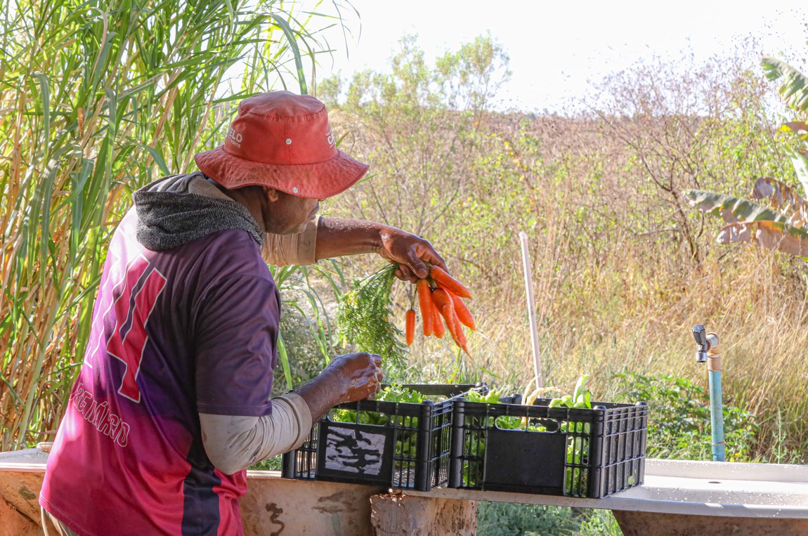 Integrada à plataforma está a modalidade de Compra Institucional do Programa de Aquisição de Alimentos (PAA)