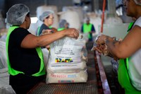 Governo Federal conclui entrega de 52 mil cestas de alimentos ao Rio Grande do Sul