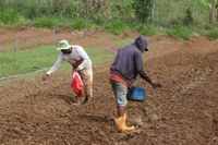 Governo Federal dá mais um passo em direção à participação social no PAA
