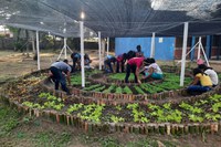 Governo Federal fortalece a promoção da alimentação adequada e saudável no ambiente escolar