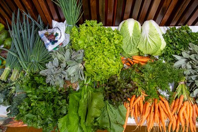 Foto: Vinicius Reis Ascom/SGPR