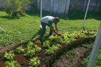 Governo Federal lança novo PAA priorizando mulheres, negros, indígenas, quilombolas e assentados da reforma agrária