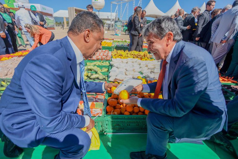 Safra_Familiar (12).jpeg