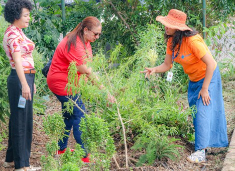 Foto: André Oliveira / MDS