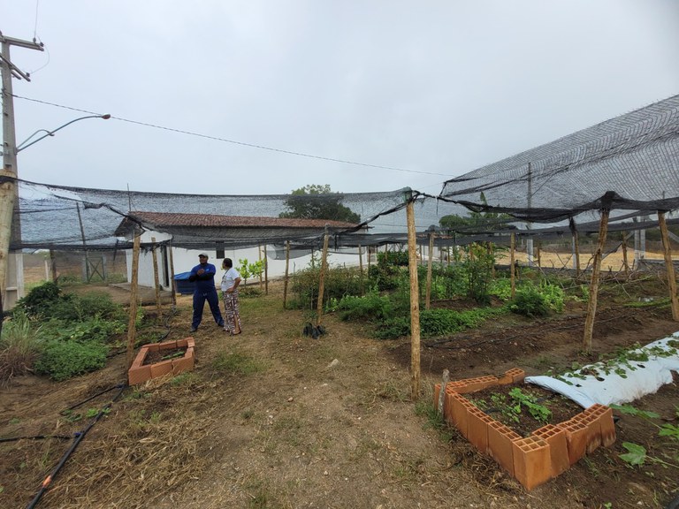 WhatsApp Image 2025-01-29 at 15.10.57 (2).jpeg