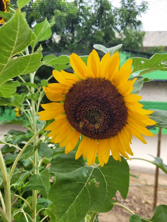 WhatsApp Image 2025-01-29 at 15.10.57 (3).jpeg