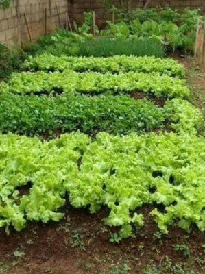 WhatsApp Image 2025-01-29 at 15.17.18.jpeg