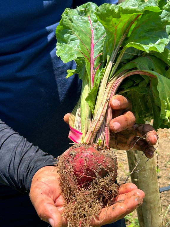 WhatsApp Image 2025-01-29 at 16.26.50.jpeg