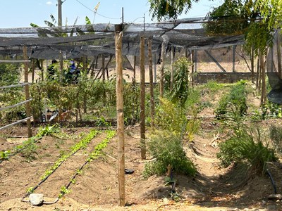 WhatsApp Image 2025-01-29 at 16.26.51 (1).jpeg