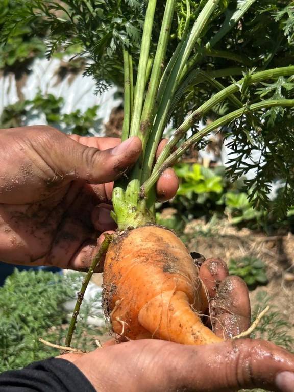 WhatsApp Image 2025-01-29 at 16.26.51.jpeg