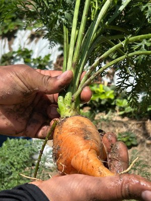 WhatsApp Image 2025-01-29 at 16.26.51.jpeg