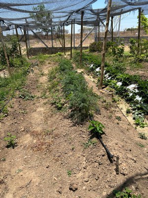 WhatsApp Image 2025-01-29 at 16.26.53.jpeg