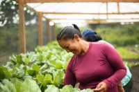 Imposto zero para alimentos da cesta básica vai aliviar bolso dos mais pobres