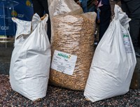 Kits de sementes agroecológicas são doados pelo PAA para fortalecer a produção sustentável no DF