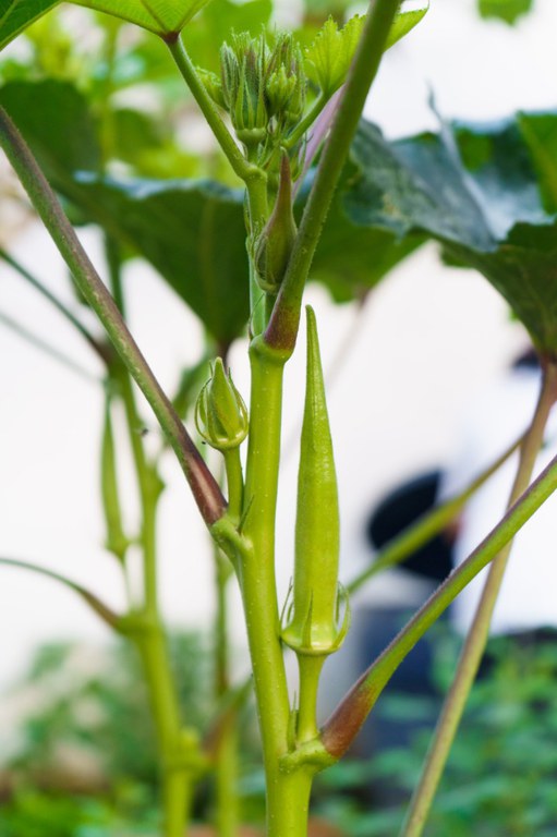 WhatsApp Image 2025-10-28 at 16.37.22 (2).jpeg