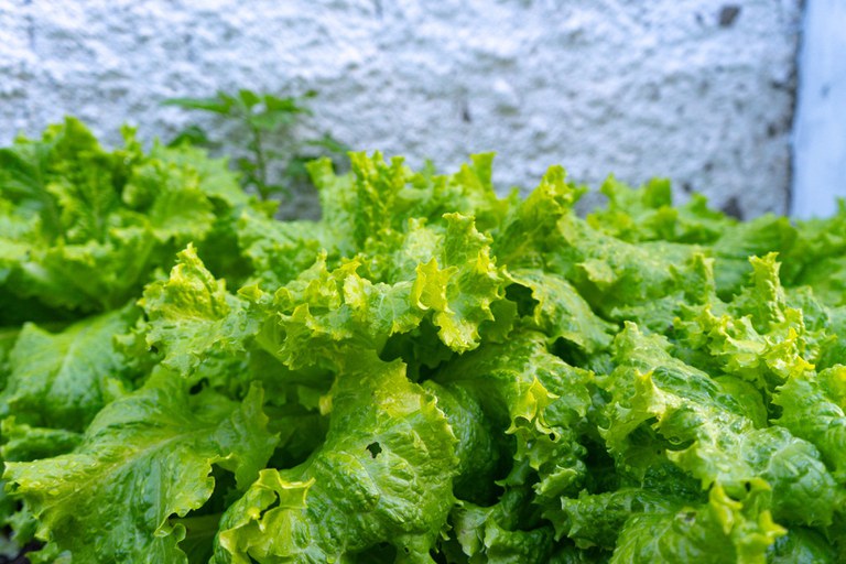 WhatsApp Image 2025-10-28 at 16.37.22 (3).jpeg