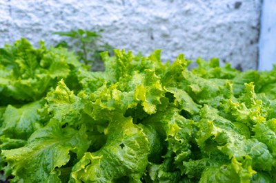 WhatsApp Image 2025-10-28 at 16.37.22 (3).jpeg