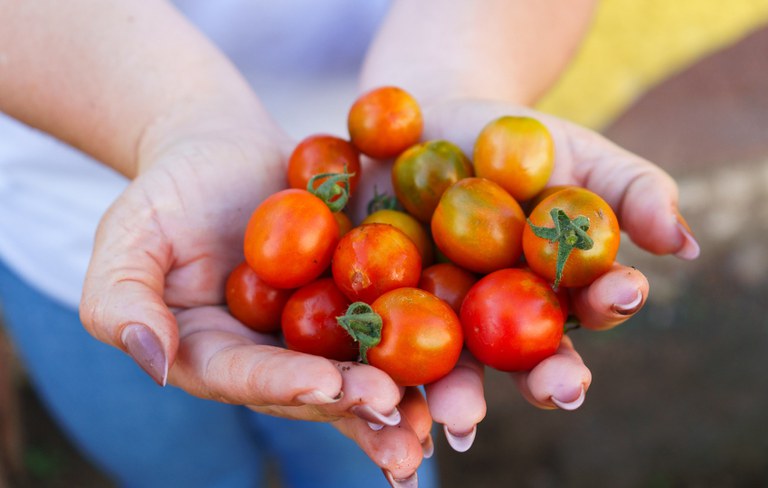 WhatsApp Image 2025-10-28 at 16.37.22.jpeg