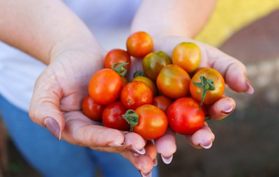 WhatsApp Image 2025-10-28 at 16.37.22.jpeg