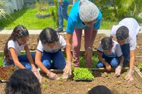 MDS amplia Estratégia Alimenta Cidades para 91 municípios