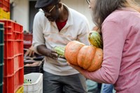 MDS aprova estratégia para reduzir perdas e desperdícios de alimentos