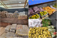 MDS destina 143 toneladas de alimentos para participantes da sociedade civil na COP30