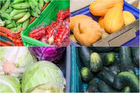 MDS divulga edital para modernização de Bancos de Alimentos