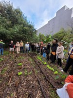 MDS e FGV promovem capacitação de gestores públicos para execução de Programas Municipais de Agricultura Urbana