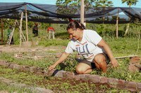 MDS e FGV promovem cursos de formação em Agricultura Urbana e Periurbana
