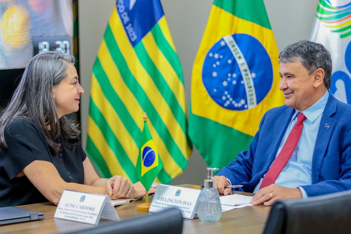 Ministro lembrou que o Brasil busca alcançar saldo positivo no balanço florestal com modelo de agrofloresta produtiva