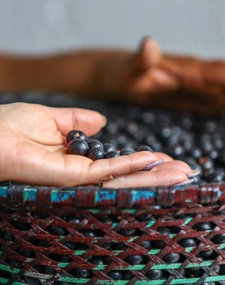 Foto: Roberta Aline / MDS 