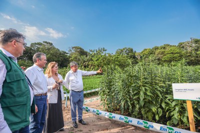 Foto: Roberta Aline / MDS 