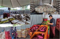 MDS entrega alimentos para população indígena em Brasília