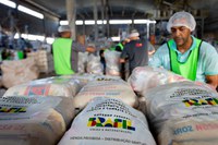 MDS entrega 4 mil cestas de alimentos por dia para municípios e cozinhas solidárias do Rio Grande do Sul