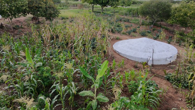 Foto: João Caetanto